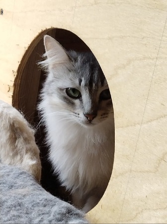 2-KyCi77X0nakoHx7NPUYebbNP-Hi1DzLh89JbdKyMx9UZX9LQE0fdb7sjNGuLyaIOKg3A830MEN6EM-