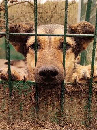 5_X0qH9bPSmBX3H90s5-nWtEOYwnicTAzPg_JR064TzyyYp59lFH1a78BTjXvhMbbIWjvJUvujouAvW2