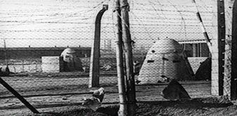 Бронированные колпаки для расстрела узников